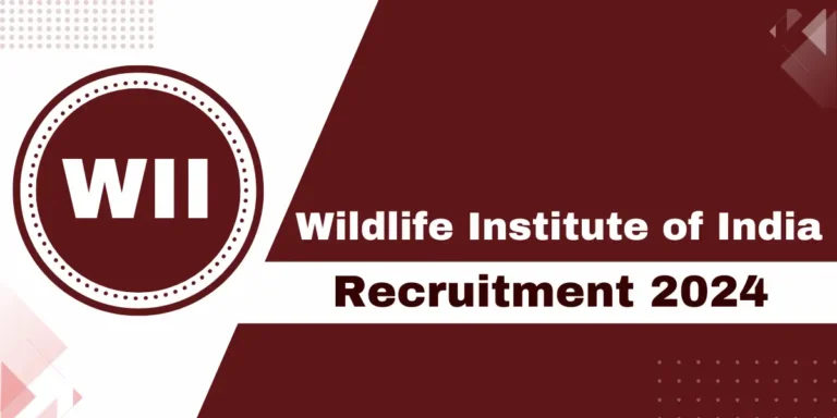WII Recruitment 2024